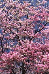 《自杀小队：战胜正义联盟》首发将提供数百种Build组合 发售后将有大量新内容